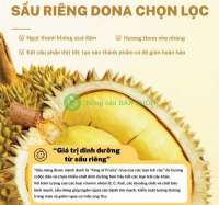 Durie’s Snack Mix 4 Sầu Riêng Sấy có ngon không? Review nhanh combo 4 vị