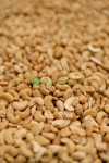 Vietnamese Cashew Nuts: Complete Guide to Vietnam’s Cashew Industry and Export Market (2026)