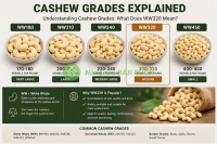 What Does WW320 Cashew Mean? A Simple Guide to Cashew Grades