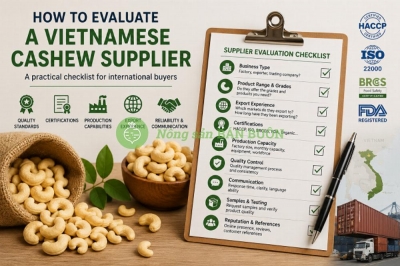 How to Evaluate a Vietnamese Cashew Supplier Before Contacting Them