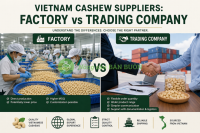 Vietnam Cashew Suppliers: Factory vs Trading Company