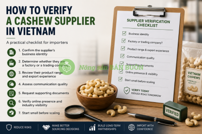How to Verify a Cashew Supplier in Vietnam: A Practical Checklist for Importers