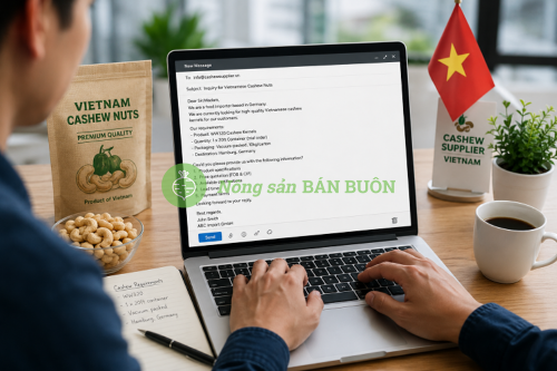 How to Contact Vietnamese Cashew Suppliers Professionally (Email Template Included)