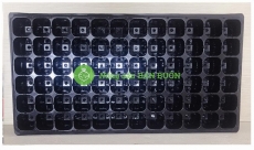 10 Khay Nhựa PVC 72 Lỗ Ươm Cây Tiện Lợi, Dễ Sử Dụng, Tích Kiệm Diện Tích