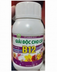 Vitamin B12 Giải Độc Cho Cây – Hồi Sức, Tái Tạo Tế Bào, Phục Hồi Sốc Phân & Thời Tiết – Chai 100ml