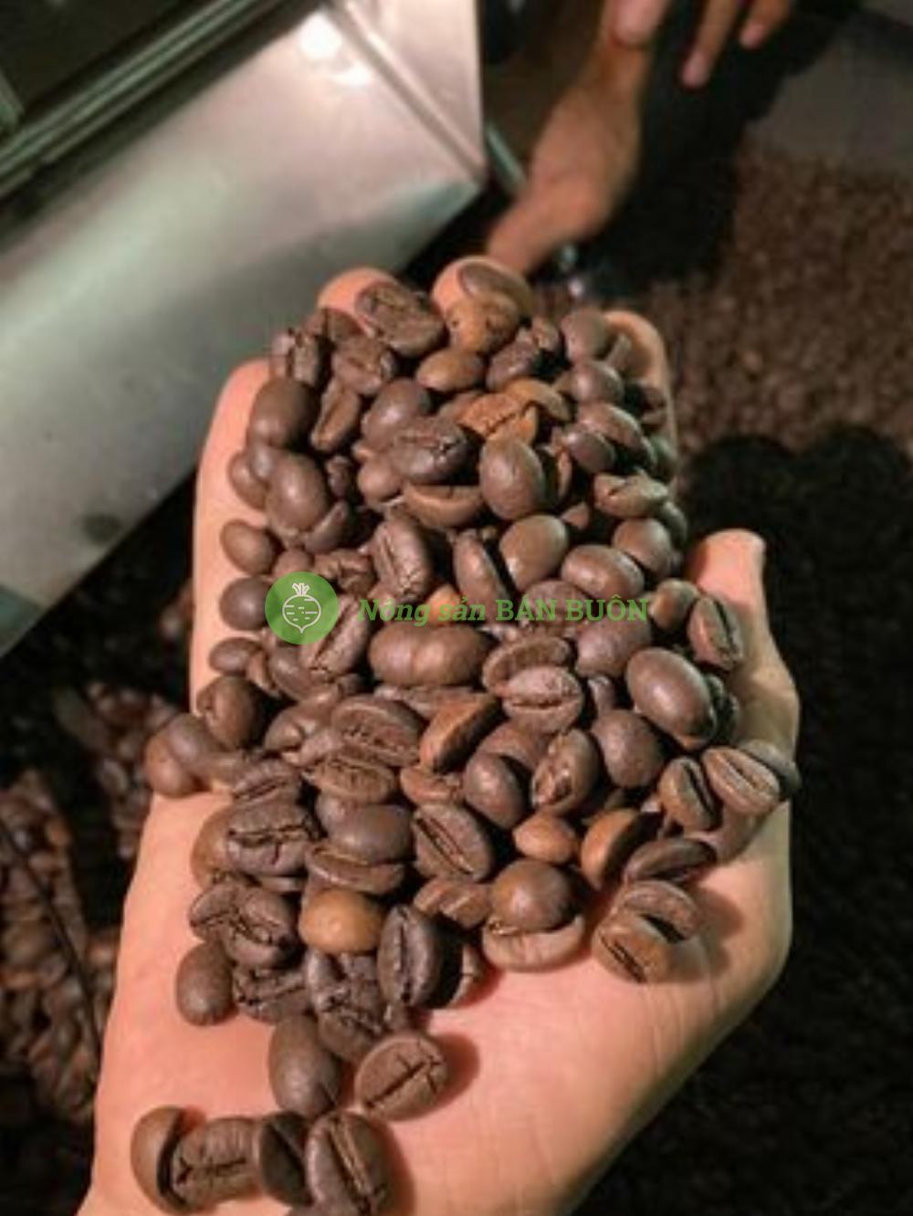 Cà phê ZeMor nguyên chất 100% pha máy - pha phin - Cafe Robusta S16 Honey - ZeMor Coffee