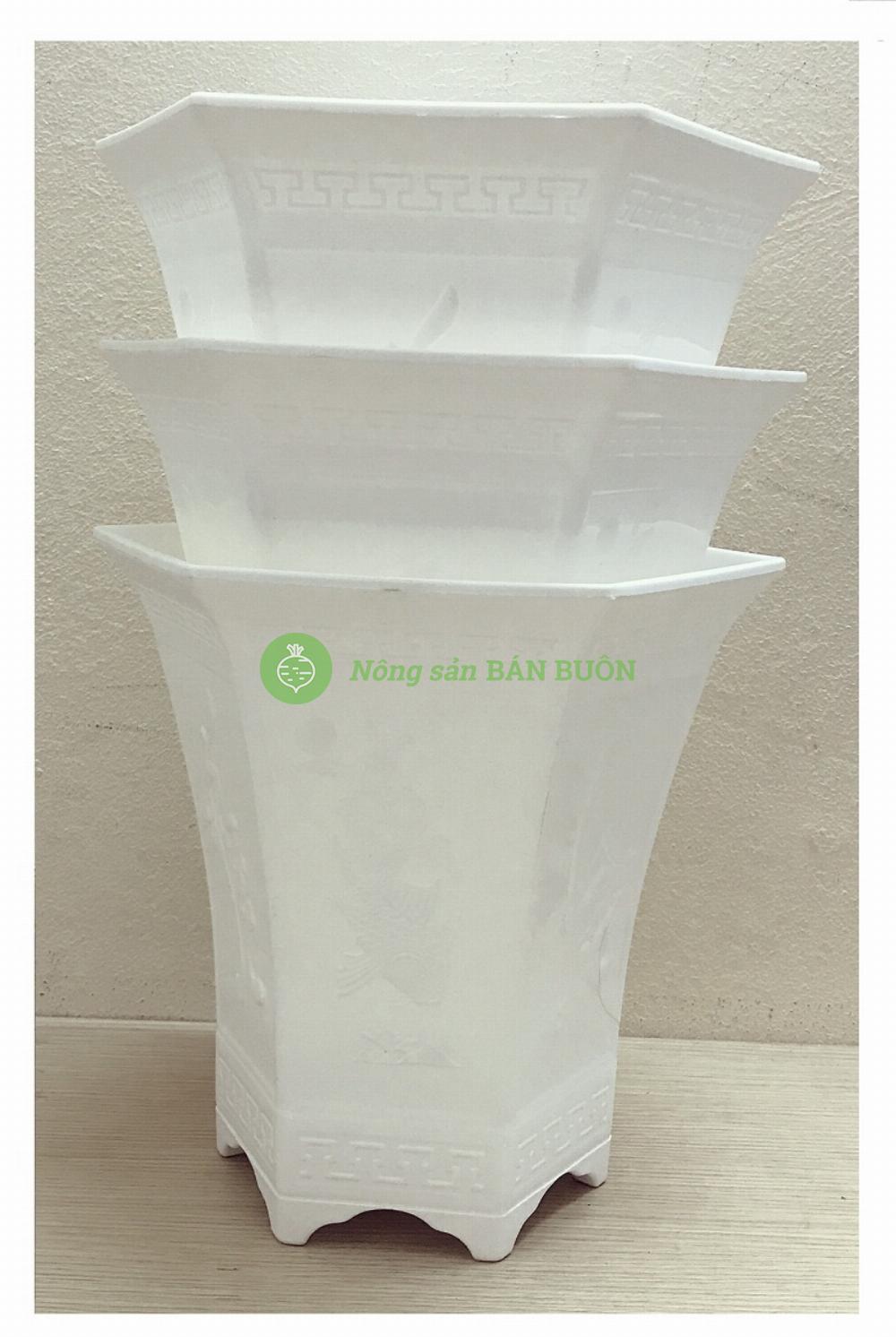 3 Chậu Nhựa Lục Giác LG - PLT - 220 Bình Thuận Plastic Màu Trắng