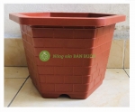 1 Chậu Nhựa Trồng Cây Cảnh, Hoa FA-350 Bình Thuận Plastics