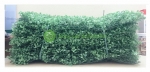 10 Tấm Cỏ Giả - Cỏ Nhựa - Cải Xoong, KT: 40x60cm Trang Trí Tường, Trang Trí Ngoài Trời