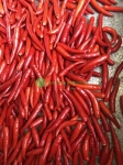 Frozen Hot Chilli Peppers for Export from Vietnam to Foreign Countries