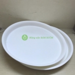 10 Khay Đĩa Lót Đế Chậu D450 Binh Thuan Plastics - Màu Trắng