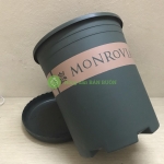 10 Bộ Chậu Nhựa Trồng Hoa Cây Cảnh MONROVIA 3Gal CN (Chậu + Đĩa) 