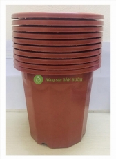 10 Chậu Nhựa Trồng Hoa, Cây Cảnh E330 Nhựa Bình Thuận