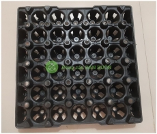 Khay Nhựa 30 Lỗ Đựng Trứng Gà, Trứng Vịt, Trứng Chim – Chắc Chắn, Bền Đẹp, Tiện Lợi