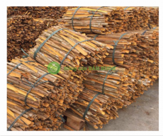 Premium Vietnamese Cinnamon – Bulk Export from Vietnam | Nongsanbanbuon.com