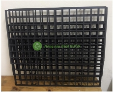 10 Khay, Vỉ Mô Hoa Lan 112 Lỗ