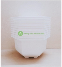 10 Châu Nhựa Bonsai Lục Giác Bình Thuận 250x150 Trồng Hoa, Cây Cảnh - Màu Trắng
