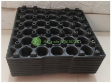 10 Khay Nhựa 30 Lỗ Đựng Trứng Gà, Trứng Vịt, Trứng Chim – Chắc Chắn, Bền Đẹp, Tiện Lợi