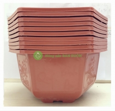 10 Chậu Nhựa Lục Giác Bonsai 280x180 Bình Thuận, Trồng Hoa, Cây Cảnh 