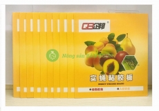 10 Miếng Dính Bẫy Côn Trùng , Bẫy Ruồi Vàng 22x40cm