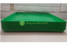 20 Khay/Máng Hứng Phân Chim, Khay Đựng Phân Gà, Khay Hứng Phân Chim Bồ Câu, Kích Thước 50x50Cm