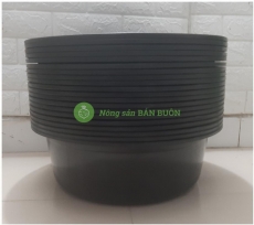 20 Chậu 5T4 Anh Quân – Nhựa PP Bền Chắc, Đựng Nước, Đồ Dùng, Máng Ăn, Chậu Giặt, Chậu Rửa – Kích Thước 44x44x15cm