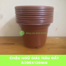 Combo 10 Chậu tròn AB280 Màu Nâu Đất Đường Kính 24cm