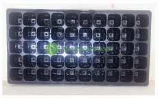 10 Khay Nhựa PVC 50 Lỗ Ươm Cây Tiện Lợi, Dễ Sử Dụng, Tích Kiệm Diện Tích