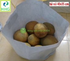 Túi vải trồng cây 40x35 Cm