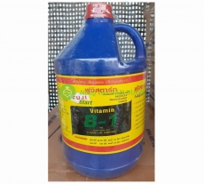 MULTI-EXTRA Start Vitamin B1 Thái Lan Chai 4 Lít - Chuyên dùng cho Hoa Lan