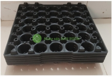 5 Khay Nhựa 30 Lỗ Đựng Trứng Gà, Trứng Vịt, Trứng Chim – Bền Đẹp, Chắc Chắn, Bảo Vệ Trứng