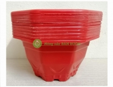 ComBo 10 Chậu Nhựa Trồng Cây Mini KT 17x17x10Cm - Bát Giác