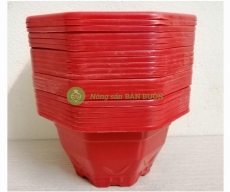 ComBo 20 Chậu Nhựa Trồng Cây Mini KT 17x17x10Cm - Bát Giác