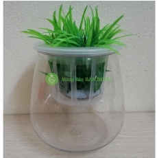 1 Chậu Nhựa Trồng Cây Thủy Sinh, Kích Thước 10x10x13Cm