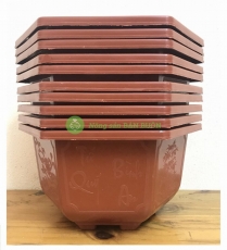 10 Châu nhựa Bonsai 250x150, hình Lục Giác, SX bởi Nhựa Bình Thuận