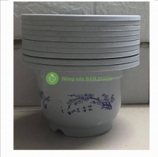 10 Chậu Nhựa Trồng Cây Hoa, Cây Cảnh MiNi A200x130 - Màu Trắng 