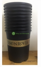 10 Chậu MONROVIA CH Garden 5Gal