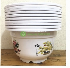 10 Châu nhựa BỐN MÙA A250x170 hình Tròn, màu Trắng, có trang trí Hoa bốn mùa quanh thân chậu