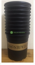 10 Chậu MONROVIA CH Garden 1.5Gal