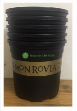 5 Chậu MONROVIA CH Garden 2Gal