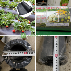 Màng Phủ Sài Gòn 1.2m x 400m, Dày 25 Mic – Nilon Phủ Đất, Giữ Ẩm, Ngăn Cỏ