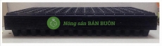 50 Khay Nhựa PVC 105 Lỗ Ươm Cây Tiện Lợi, Dễ Sử Dụng, Tích Kiệm Diện Tích