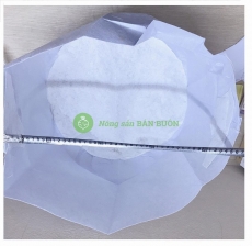 Túi Vải Trồng Cây 50x40 Cm