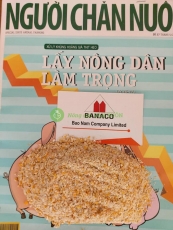 BẮP HẠT - BẮP BỂ - BẮP XAY
