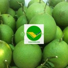 Bưởi tươi vikafoods