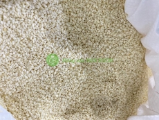 Mè Trắng ( Mè không vỏ ) phân phối sỉ số lượng
