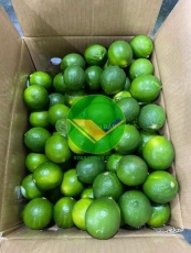 Chanh không hạt tươi vikafoods