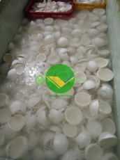 Cơm dừa đông lạnh vikafoods