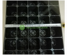 ComBo 3 Khay nhựa TOKAI KASEI NHẬT BẢN 40 Lỗ, KT lỗ 7x7cm, có Túi Bầu kèm theo