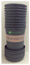10 Bộ Chậu Nhựa Trồng Hoa Cây Cảnh MONROVIA 1Gal CN (Chậu + Đĩa)  